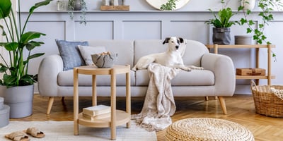 Wall panelling ideas & advice